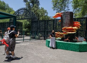 ¿Qué hacer en el último domingo de Semana Santa en CDMX? Aquí te decimos