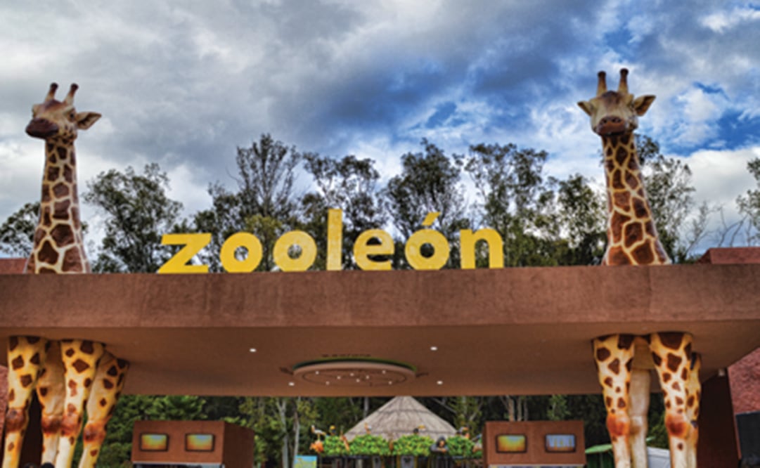 Foto: tomada de Facebook @ZoologicodeLeon