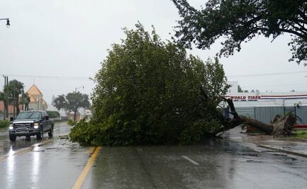 "Irma" deja sin energía eléctrica a más de 800 mil casas en Florida