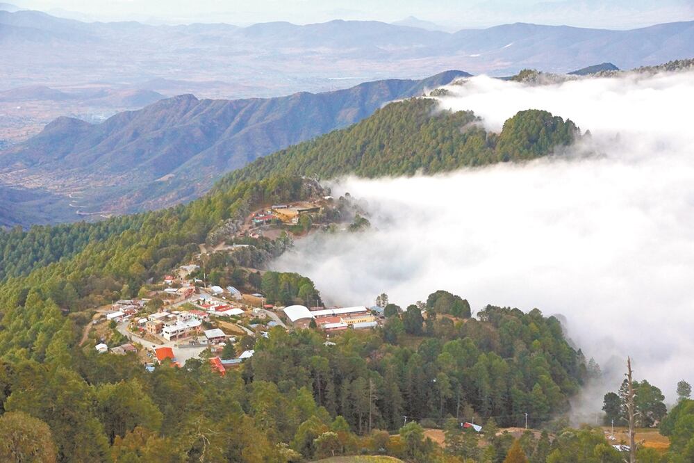 Foto: Archivo/El Universal