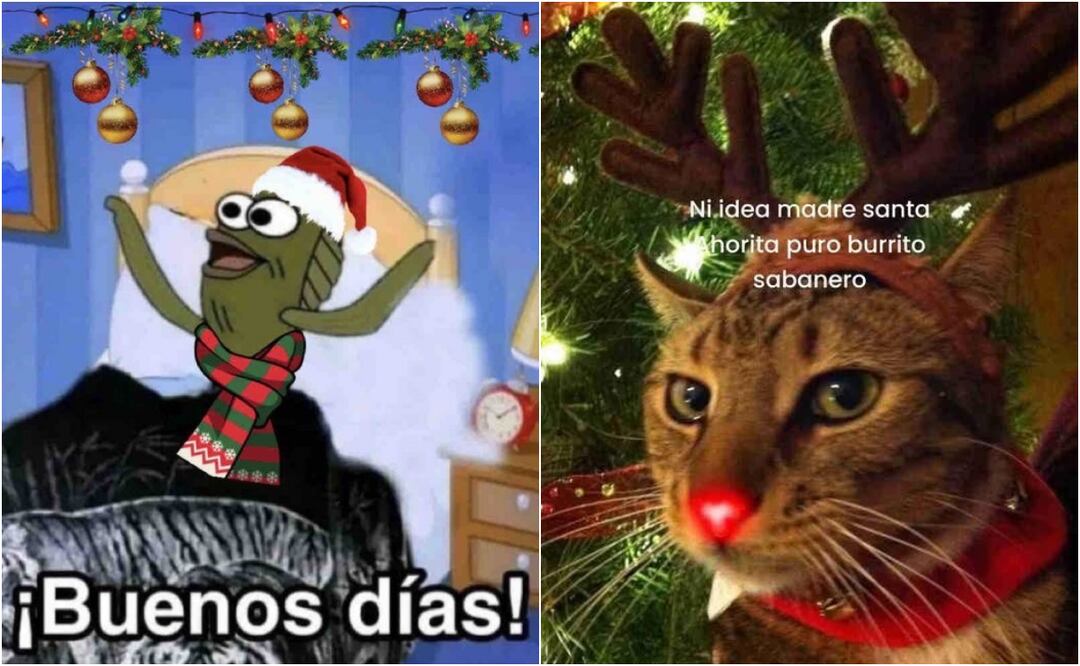 Encuentra aquí los mejores memes para recibir al último mes del año. Foto: X