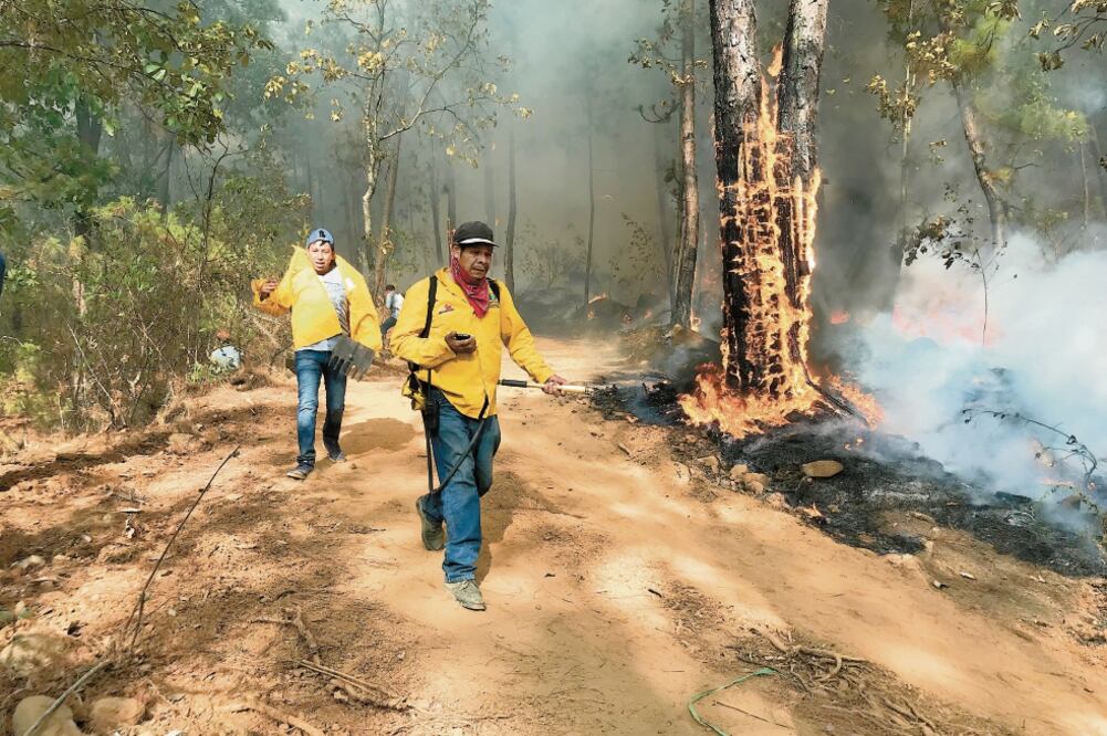Cuando se controla un incendio casi de inmediato comienza otro, por lo que no hay tiempo que esperar para ir a apagarlo, dicen los brigadistas. / Fotos: CHARBELL LUCIO