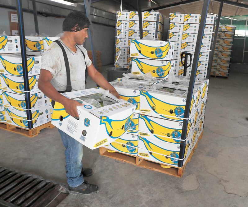 Se señala que el número de puestos de trabajo pasó de siete millones 474 mil 325 de enero a febrero del 2024 a siete millones 458 mil 279 trabajadores de igual periodo del presente año. Foto: Archivo/El Universal