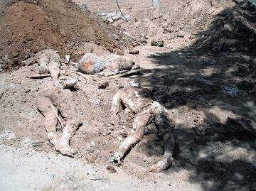 Narcofosas Durango: cementerio de desaparecidos