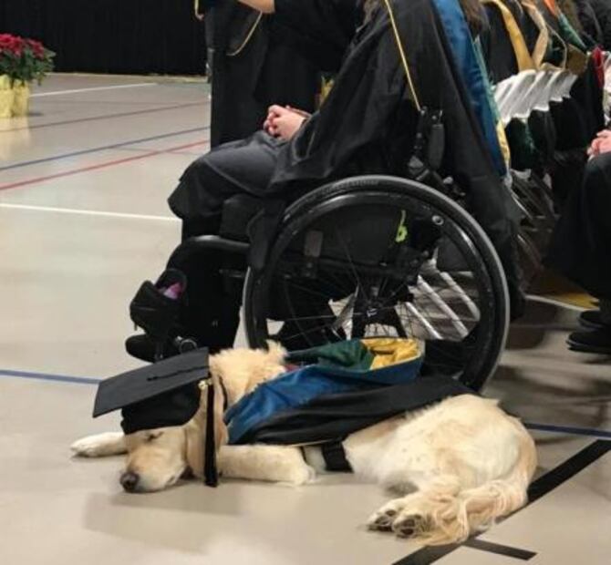 Perro se gradúa de la maestría con su dueña en EU