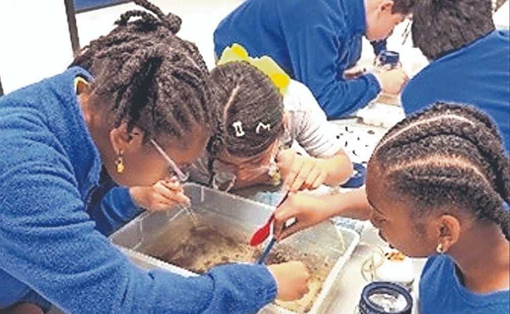 En algunas escuelas de Estados Unidos, los menores aprenden sobre la importancia del agua y los problemas de contaminación. Foto: ONU-Agua