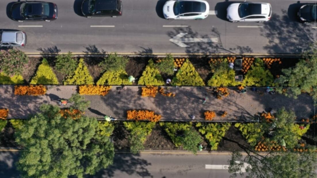 "Pintan" de naranja las calles de la CDMX por Día de Muertos 