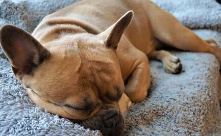 ¿A qué hora hará más frío hoy, 12 de diciembre de 2021?