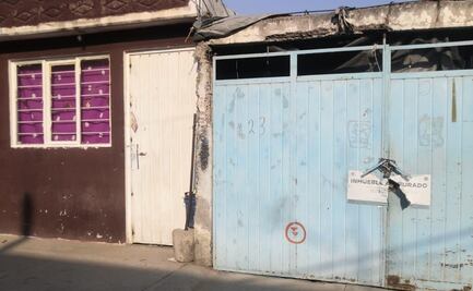 Fiscalía deja encerrados y sin comida a perritos en casas aseguradas; vecinos piden que los rescaten