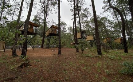 El glamping de Hidalgo con casas del árbol en el bosque