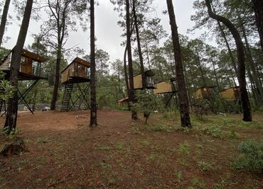 El glamping de Hidalgo con casas del árbol en el bosque