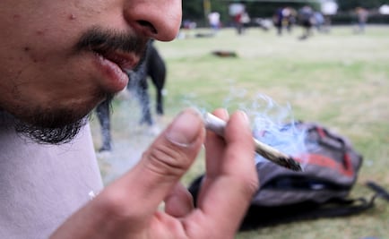 Ministra da la bienvenida a debate sobre marihuana