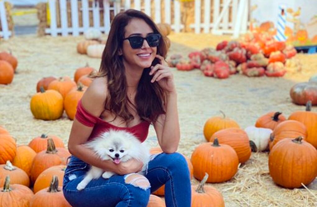 Esta fitness girl sabe cómo provocar suspiros / Foto: Twitter