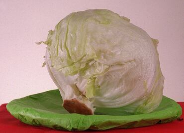 EU y Canadá alertan a no comer lechuga romana por brote de E. Coli