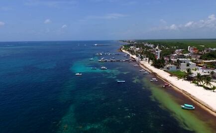 Temen especialistas que sargazo altere ecosistemas del Caribe