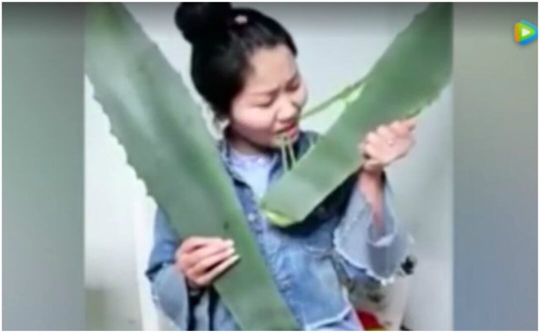 Vlogger china graba el momento en que se envenena al comer una planta