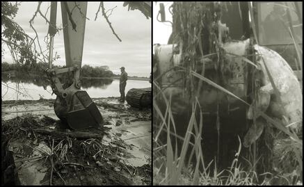 Manatí murió en dragado de río y no en acuario, responden a gobierno de Veracruz