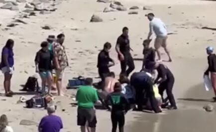 VIDEO. Tiburón blanco ataca a surfista en California: turistas lo salvan tras escuchar sus gritos