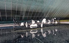 Acervo artístico del MUAC, disponible a un click