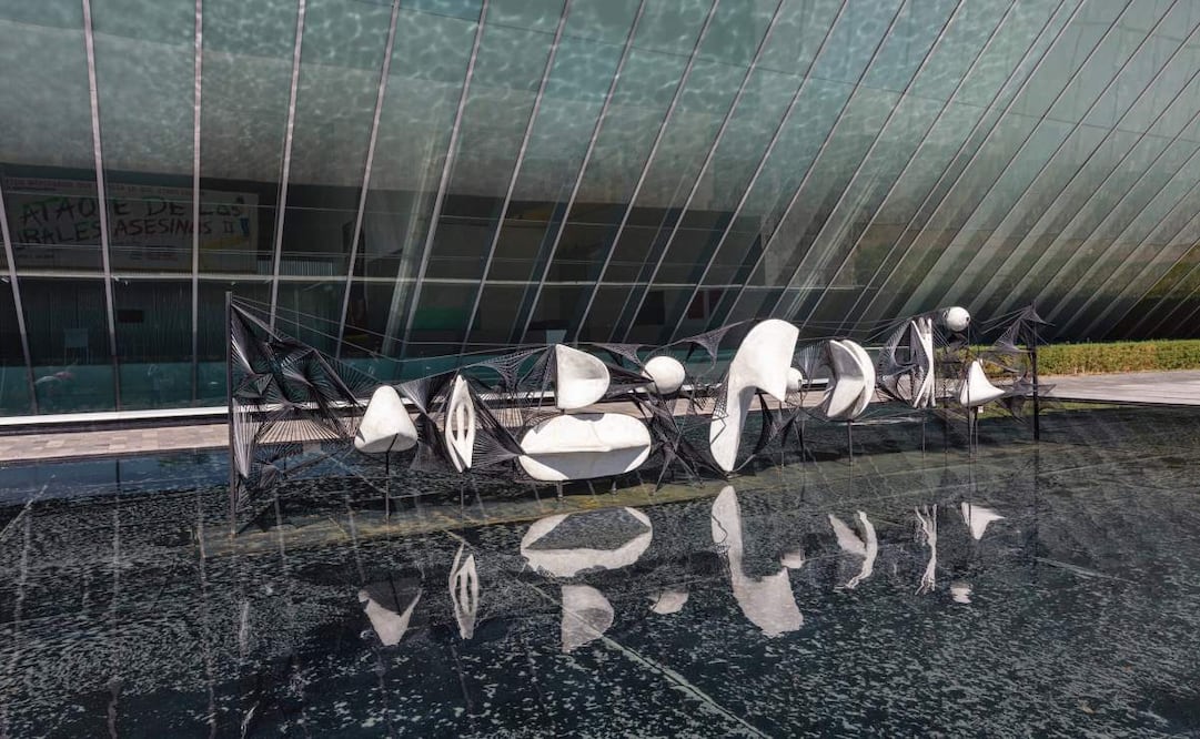 La plataforma funcionará además como herramienta para un diagnóstico del acervo. Foto: MUAC