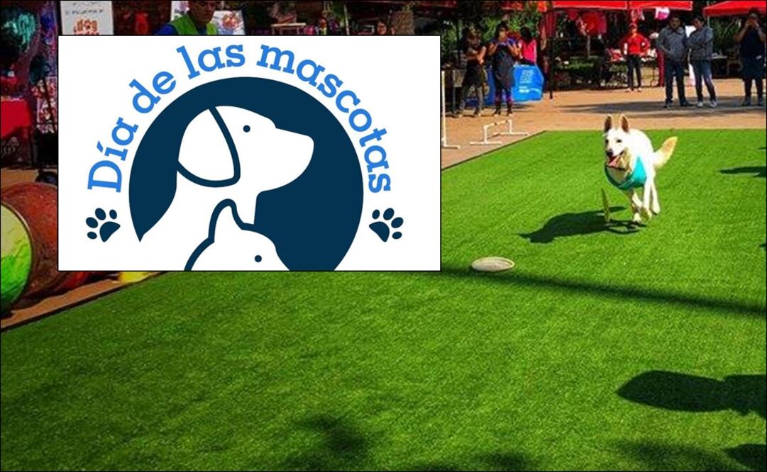 “Día de la Mascota”. Foto: Especial