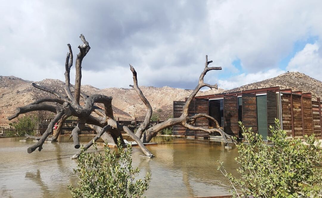 Fotos: Raquel del Castillo