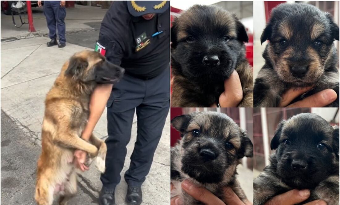 FOTO: tomada de redes/ EL UNIVERSAL/