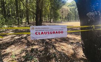 Profepa clausura predios en Edomex por daño ambiental; detectan tala y remoción ilegal de vegetación