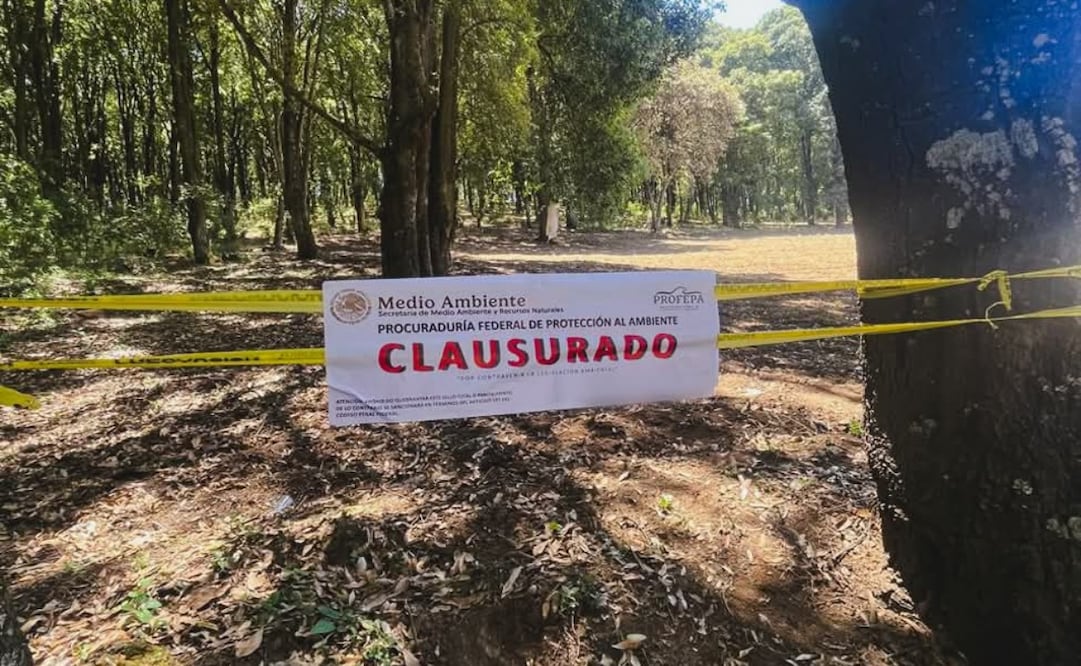 Profepa clausura predios en Edomex por daño ambiental. Foto: Especial