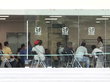 ¿Quieres pagar IMSS por tu cuenta?; consulta precios actualizados del Seguro Social para la Familia y cómo hacer el trámite