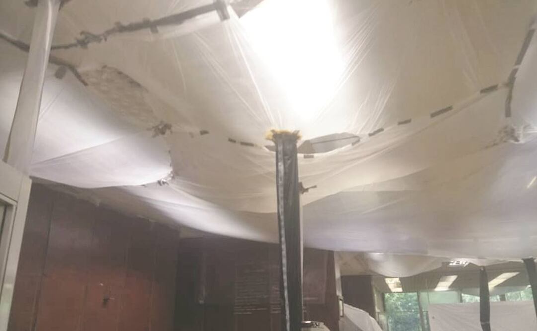 La Sala de Referencia fue una de las áreas más afectadas, según los trabajadores. Se han tenido que cubrir con plásticos el acervo y los plafones (ESPECIAL)