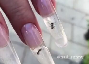 ¿Uñas con hormigas? descubre la horrorosa tendencia en Instagram