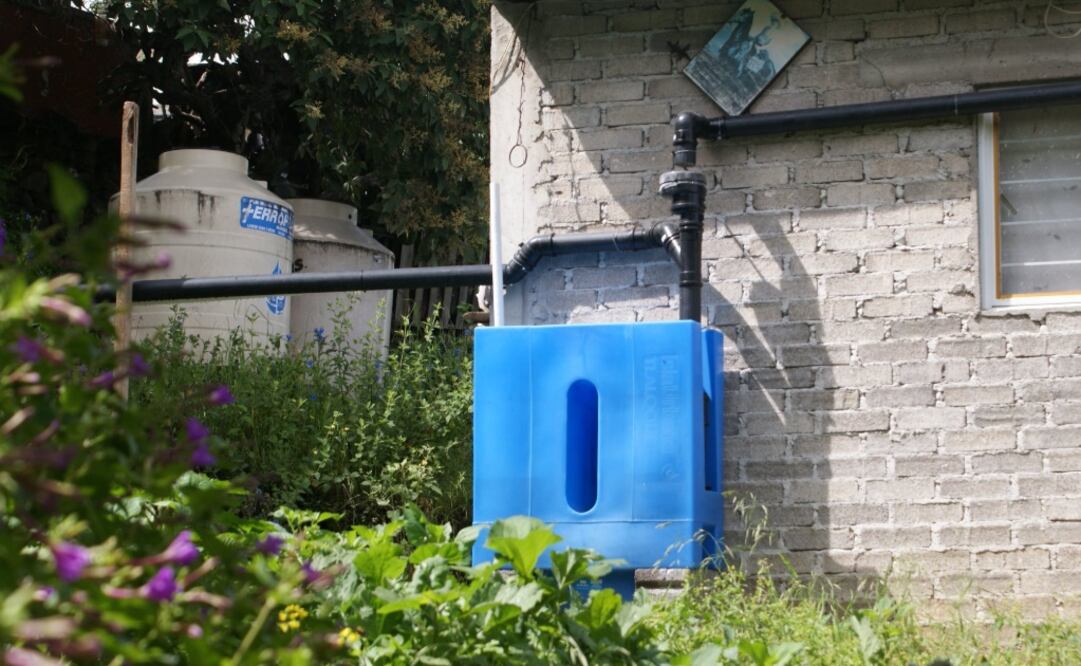 Foto: Archivo/EL UNIVERSAL