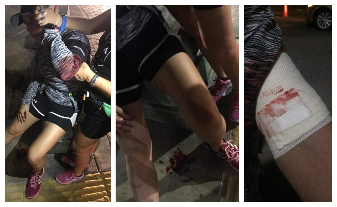 Elizabeth agregó que muchas personas no tienen control sobre sus mascotas en la zona y pidió que se aplique el reglamento –el cual establece que está prohibido circular con animales en el malecón–. FOTOS. EPECIALES