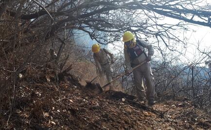 Brigadistas combaten incendio forestal en Tlajotla, Morelos