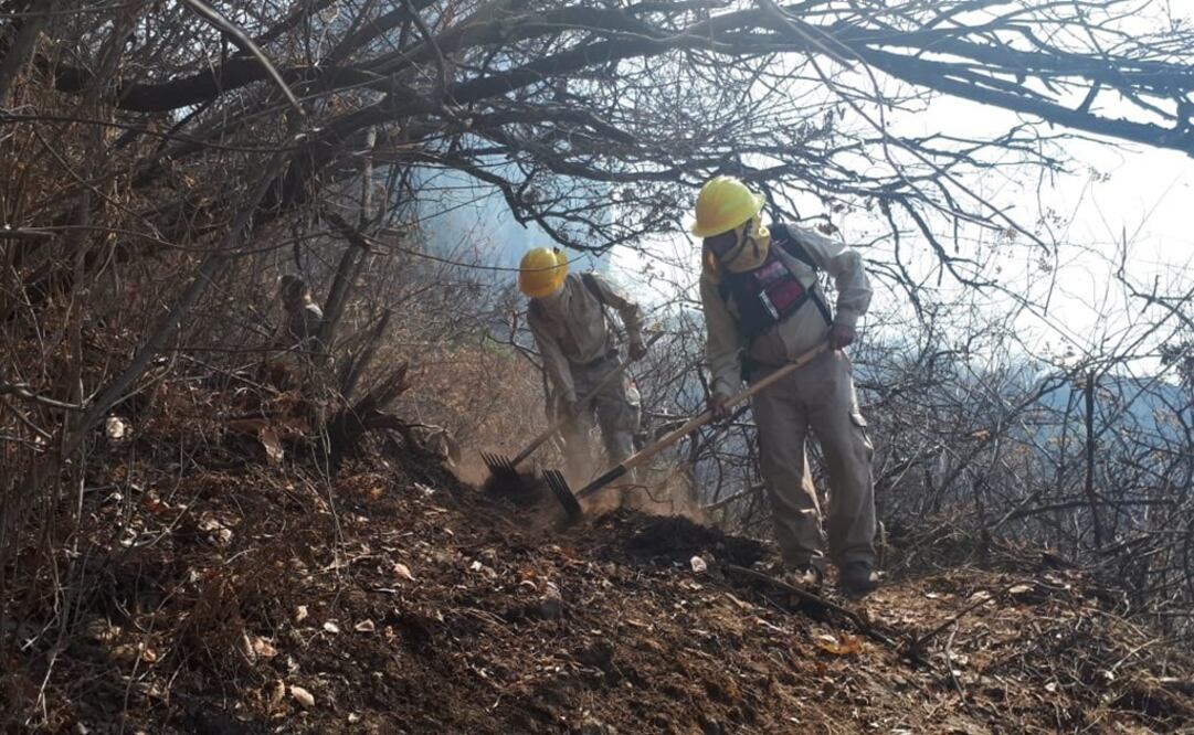 Imagen ilustrativa. Foto: Twitter/@CEECA_Morelos