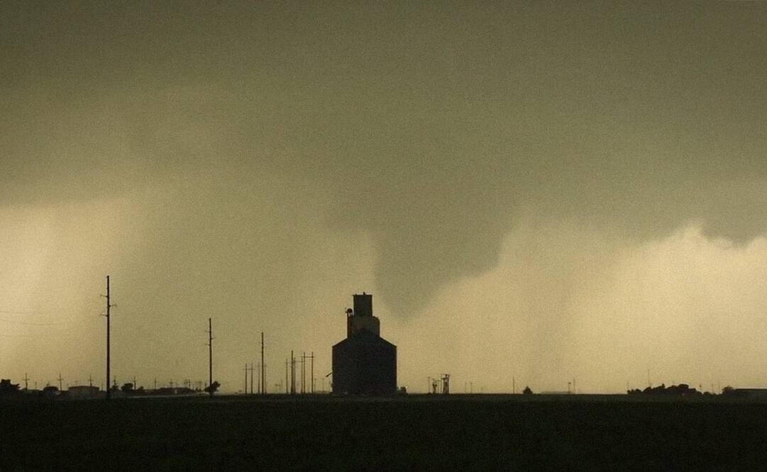 Foto: captura (Twitter @therealshelden)