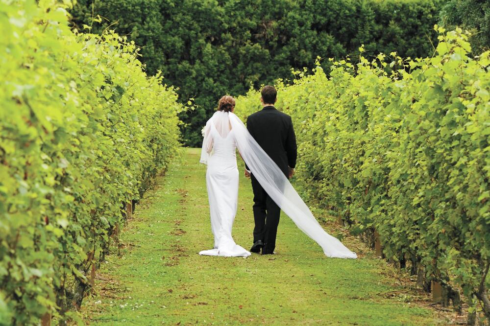 Foto: archivo/ EL UNIVERSAL