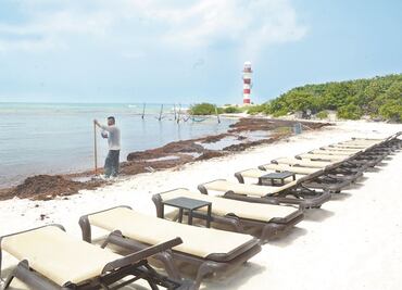 La evolución del sargazo en 7 años