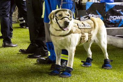 Marina invita a tomarse una foto con “Frida”