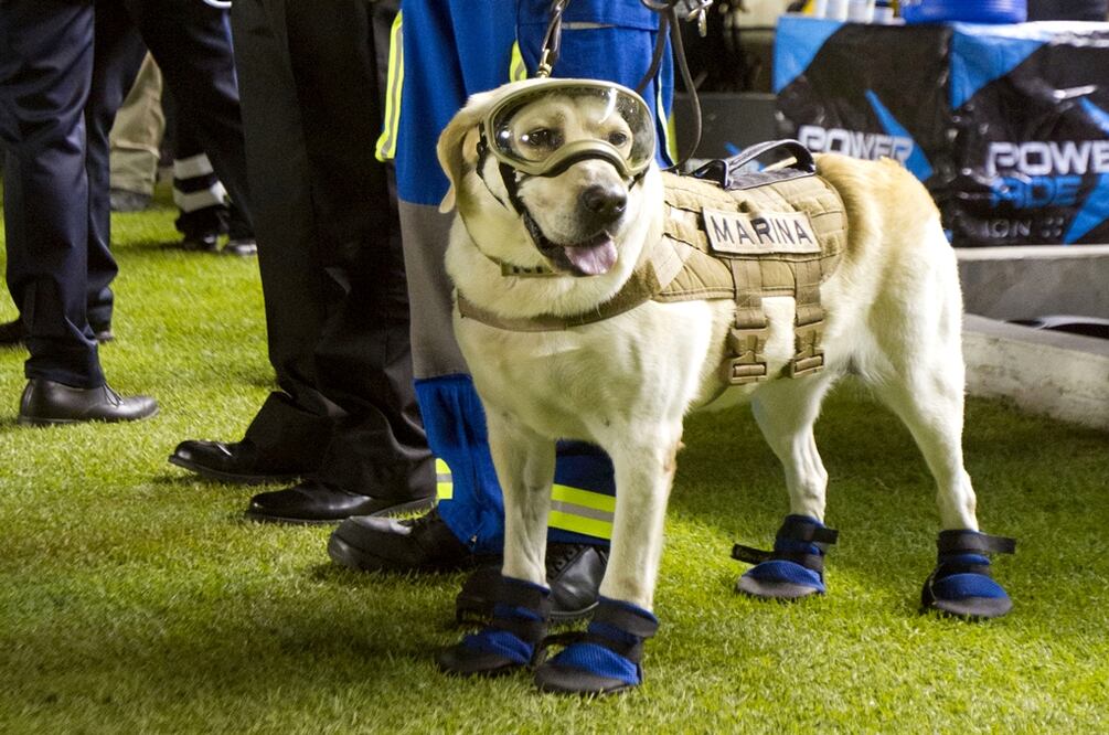 Foto: Archivo/EL UNIVERSAL