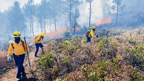 Diez incendios forestales pegan a Sierra Tarahumara