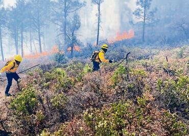 Diez incendios forestales pegan a Sierra Tarahumara