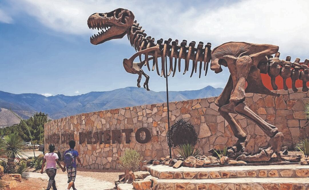 El Museo del Desierto expone en Coahuila hallazgos paleontológicos y la historia natural de la región. Abajo, Museo de Historia Mexicana del complejo cultural 3 Museos, en Monterrey. Foto: de MUSEO DEL DESIERTO