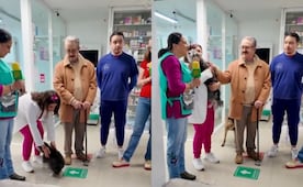 Pedro Sola visita refugio de perros tras la polémica: "Me emocioné y estuve a punto de llorar"