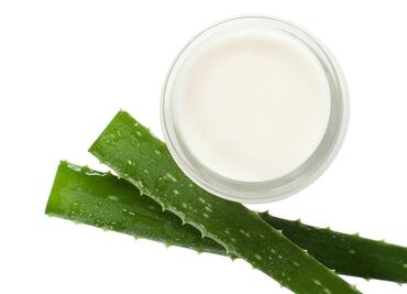 Aprende cómo obtener colágeno natural con aloe vera