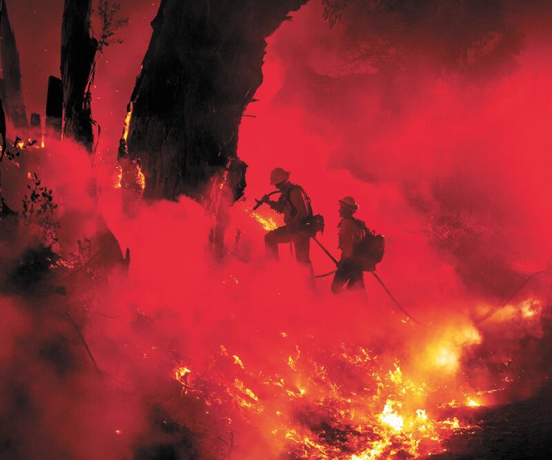 Labor. Bomberos combaten las llamas ocasionadas por el incendio María en Santa Paula, California. Foto/JOSH EDELSON. AFP