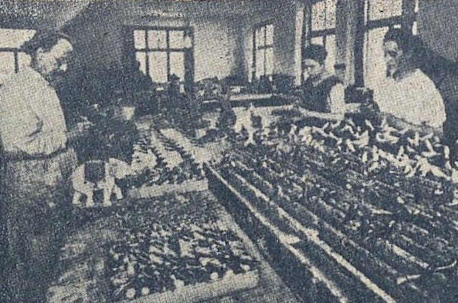 Las extravagantes muñecas europeas