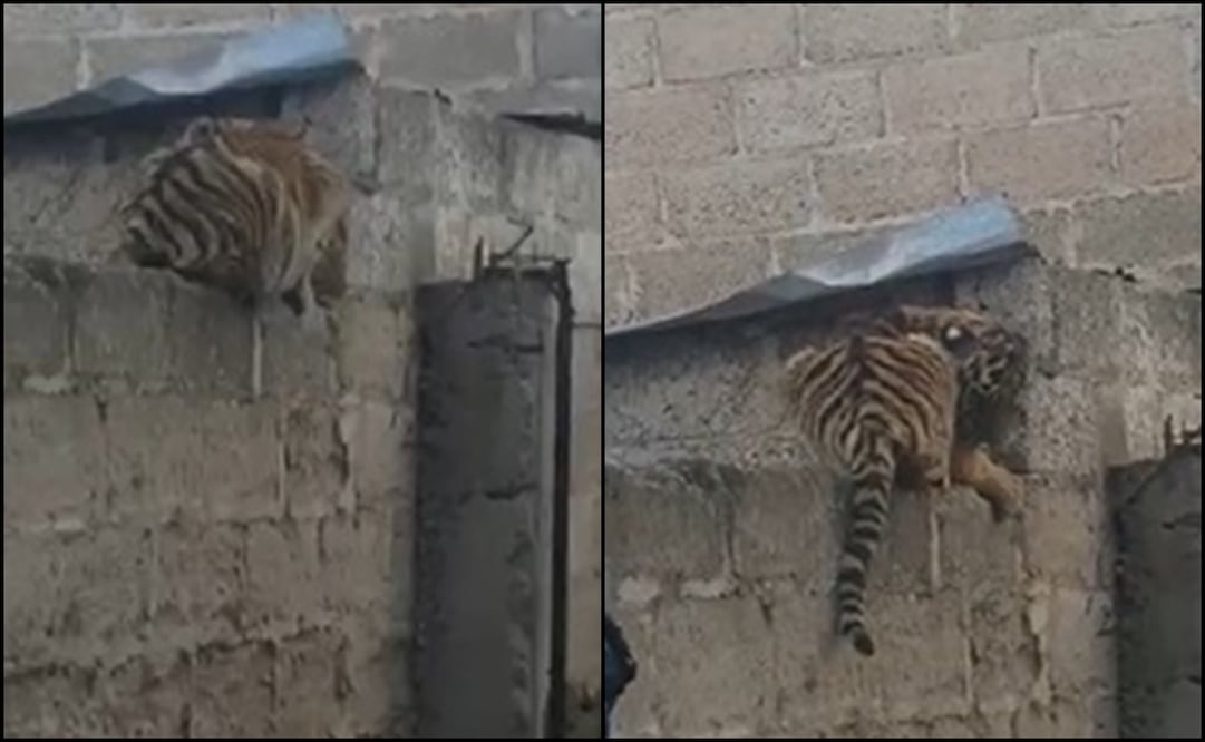 Fotos: captura de pantalla