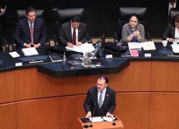 Exculpa Videgaray a Claudia Ruiz Massieu de visita de Trump a Los Pinos